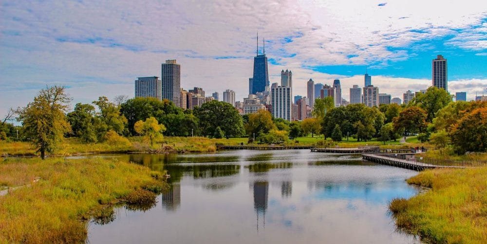 Chicago Limousine Service | Luxury Airport Limo O'Hare & Midway | IQ Limousine 46 image