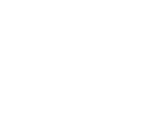 IQ Limo Service