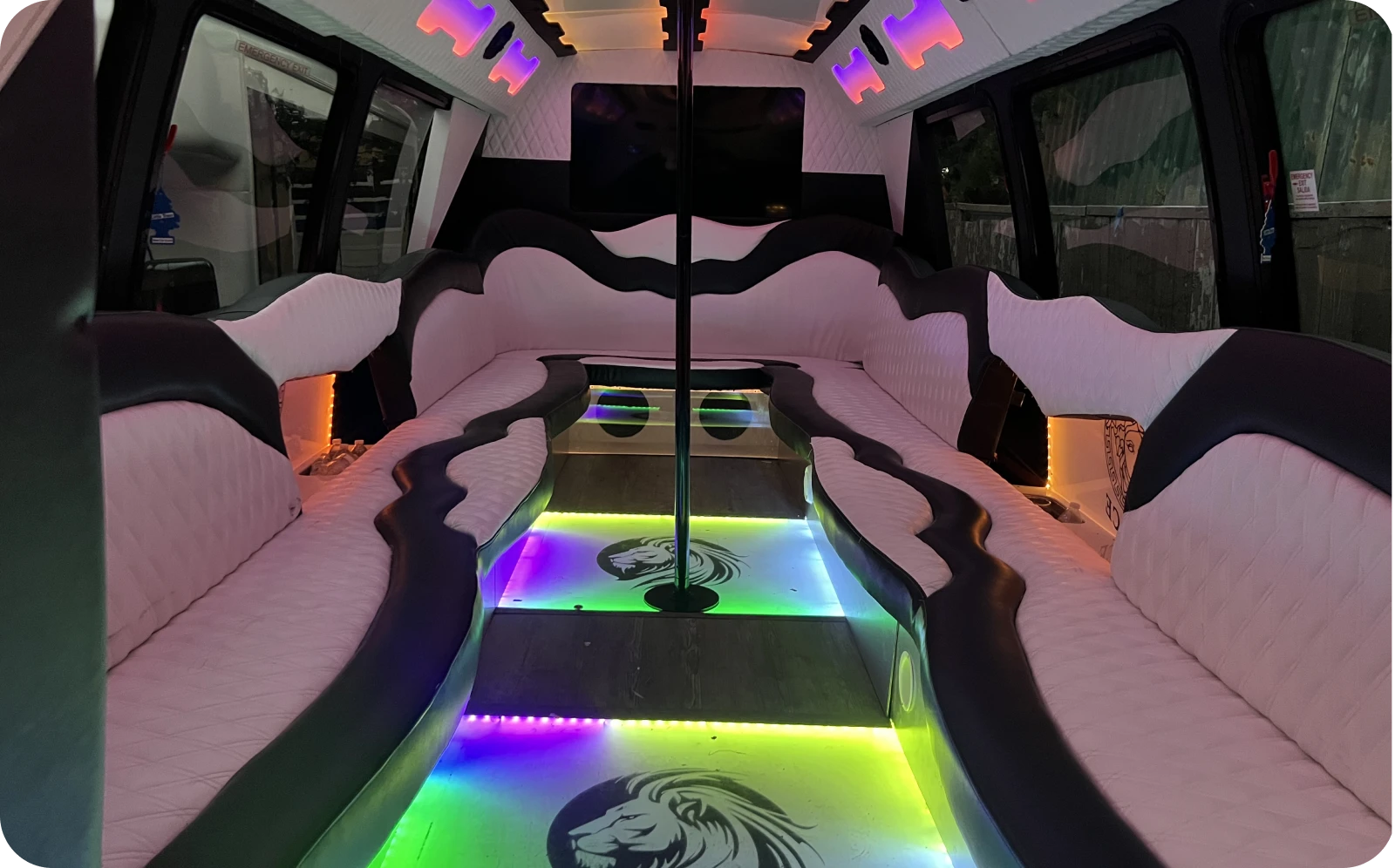 Party Bus Rental Chicago 12 Party Bus Onside
